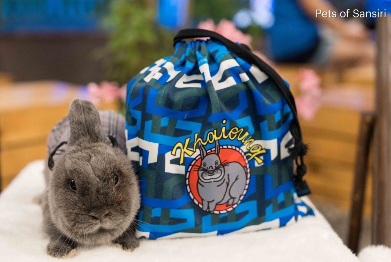 Pets of Sansiri Bag