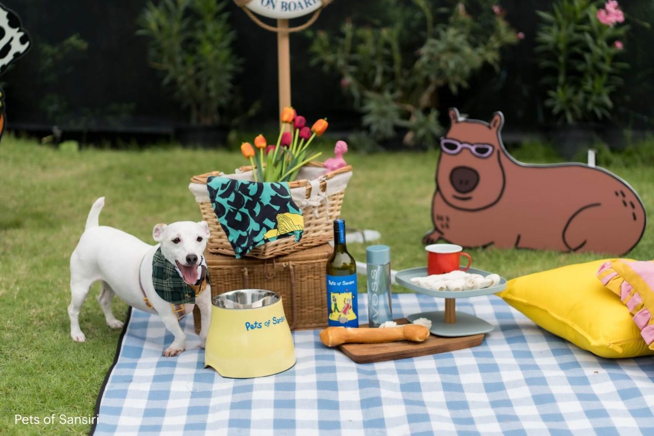Pets of Sansiri event