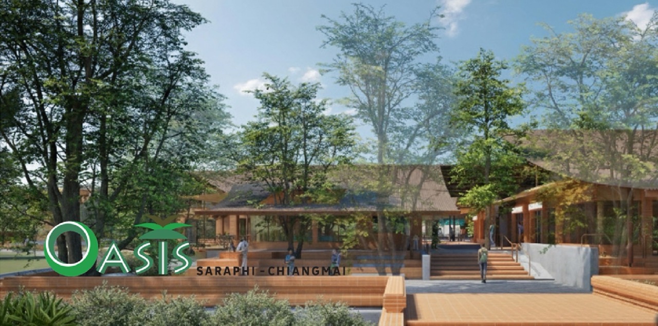 Oasis Saraphi ขนาดใหญ่