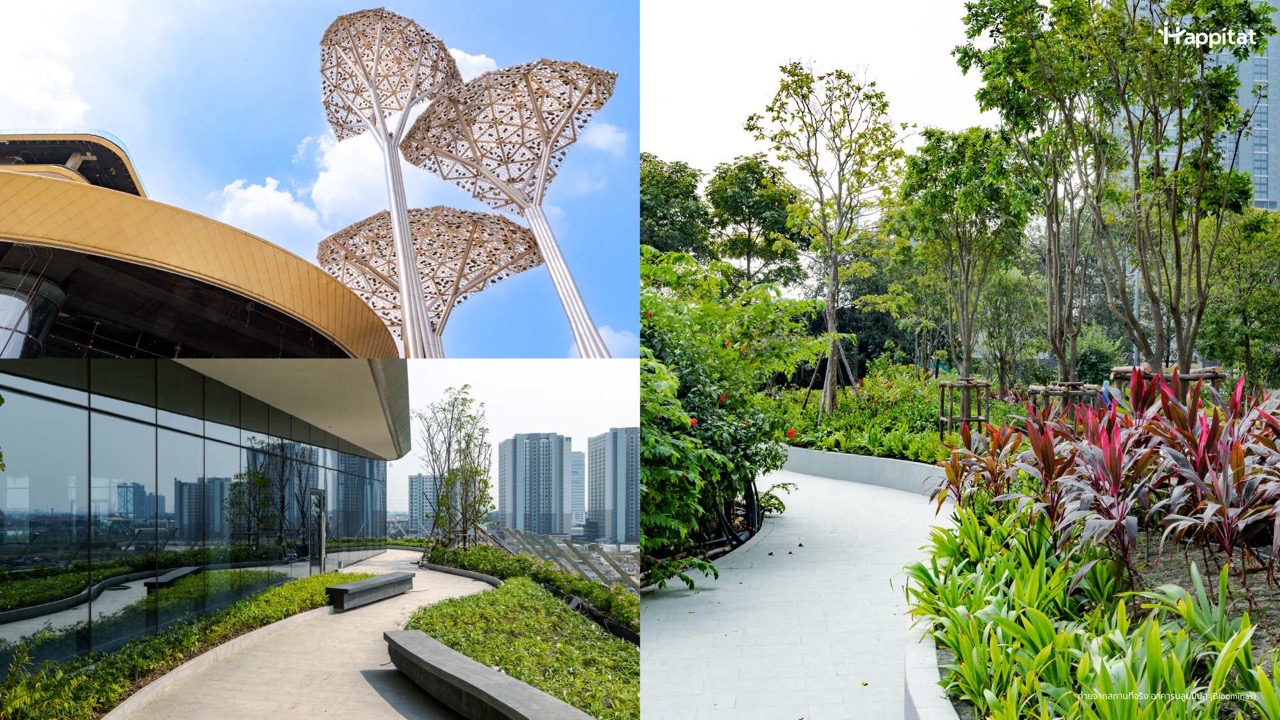 Happitat Progress Update ขนาดใหญ่