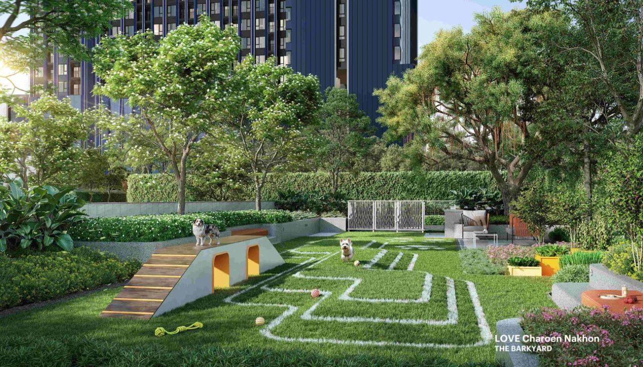 THE BARKYARD เลิฟ เจริญนคร