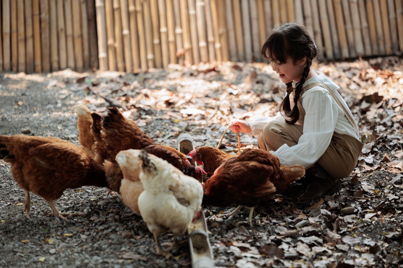 DJHH Service Barn & Farm ขนาดใหญ่