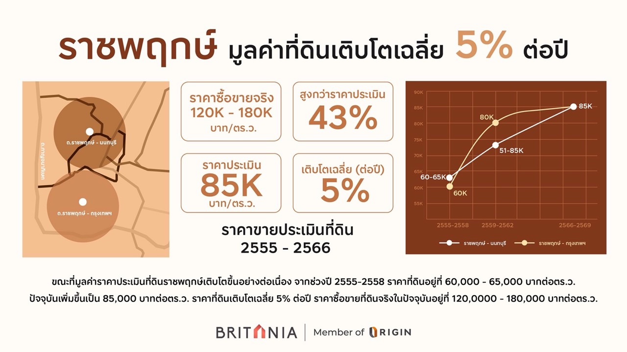 BRITANIA ราชพฤกษ์ ขนาดใหญ่