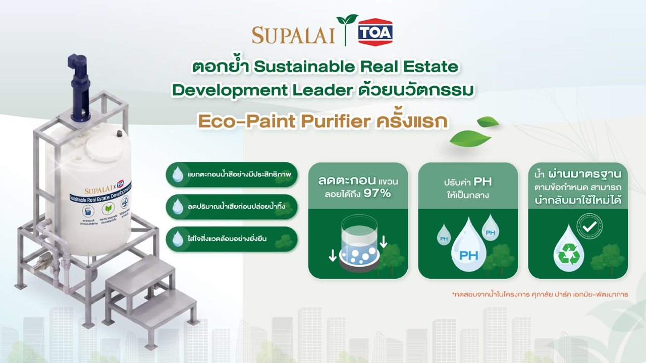 AW TOAxSupalai Eco Paint Purifier (xpx)